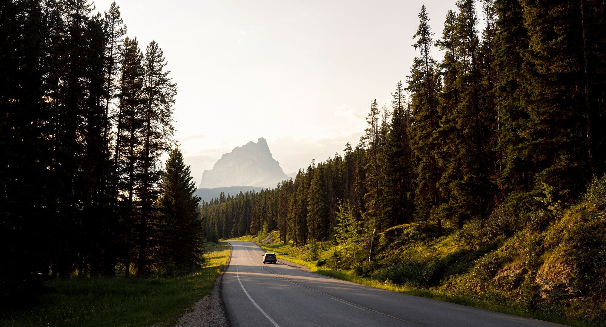 Drive the Bow Valley Parkway