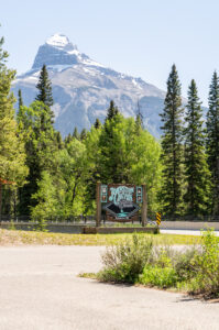 Sign for Johnston Canyon Lodge alongside the road, sunny & green trees.